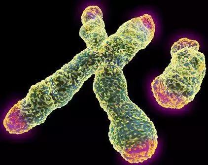 48岁钟丽缇为备孕吃药,钟丽缇回应备孕经历