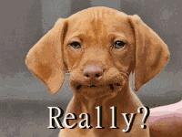 如何做一个淘宝摄影师,淘宝专业拍照摄影师