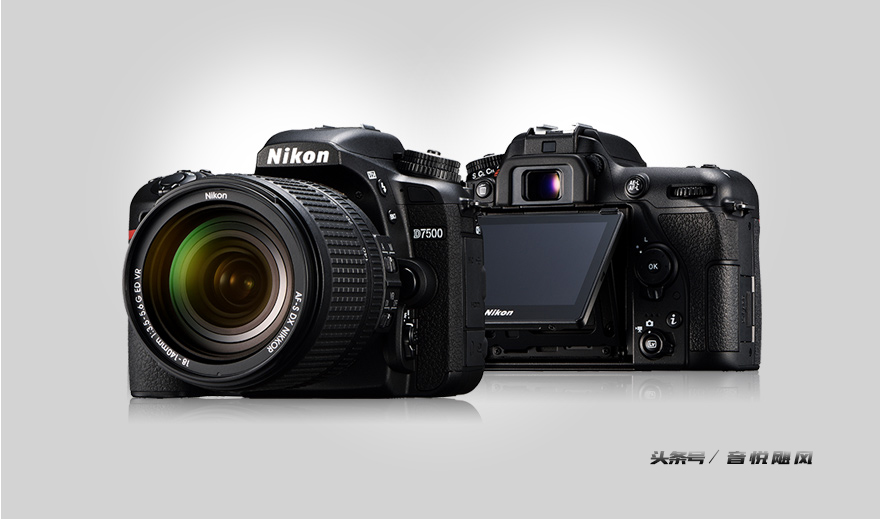 适合新手小白的单反相机尼康d7500,尼康d7500图像品质推荐