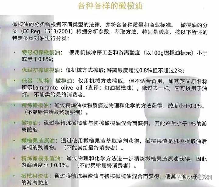 3分钟了解橄榄树,一分钟了解油橄榄