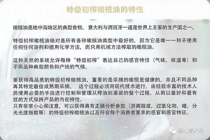 3分钟了解橄榄树,一分钟了解油橄榄