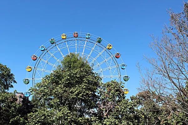 天津是一座幸福的城市,在天津生活的归属感