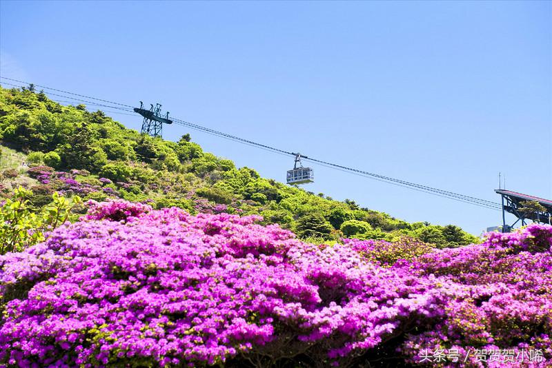 游轮旅行日本攻略,坐游轮去日本大概需要多少钱