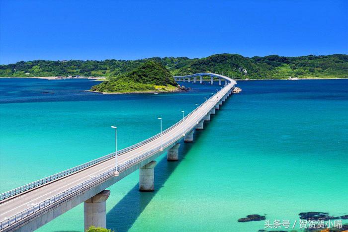 游轮旅行日本攻略,坐游轮去日本大概需要多少钱