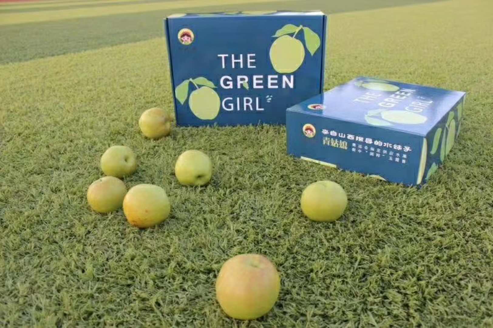 流量从哪里来,流量从哪来