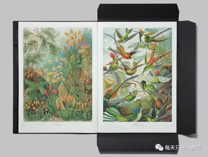 这些好物,她们来不及等到双十一就剁手了