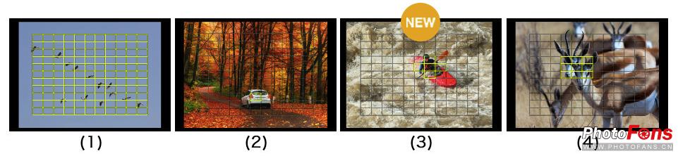 奥林巴斯e-m1ii深度评测,奥林巴斯e-m1x测评