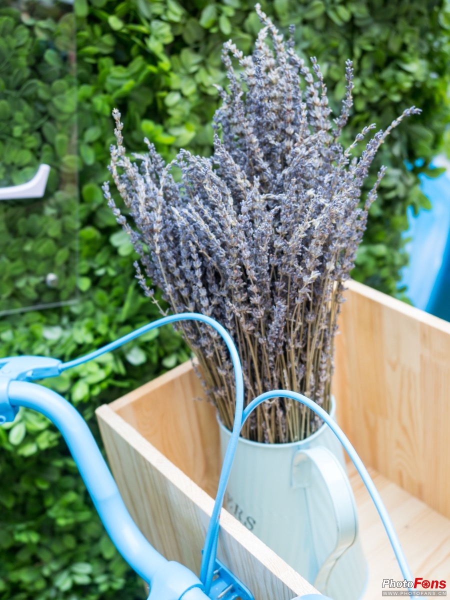 奥林巴斯e-m1ii深度评测,奥林巴斯e-m1x测评