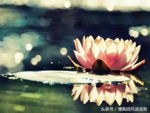 读古诗益处多多,读古诗健身