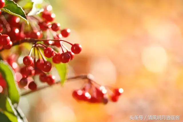 读古诗益处多多,读古诗健身