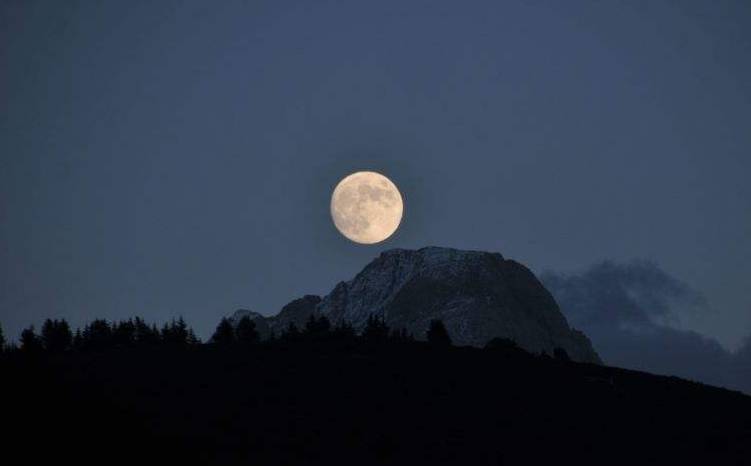 「词风雅韵」秦玉彦｜为君十赋鹧鸪天