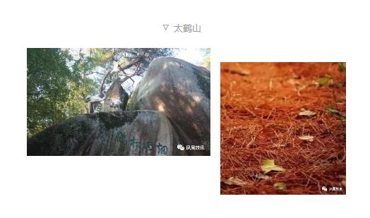 浙江省丽水市旅游推介会,丽水景宁松阳云和旅游