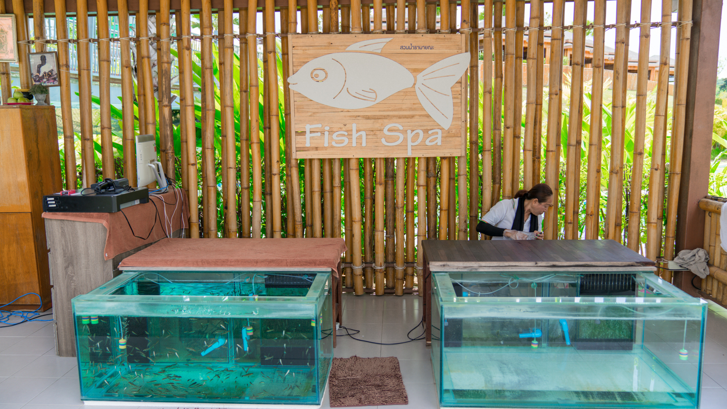 泰国芭提雅美食自由行,泰国旅游曼谷清迈芭提雅