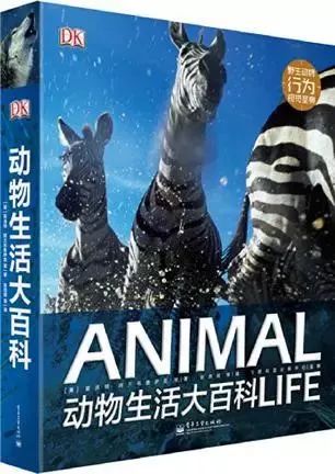 羽佳小说作品,羽佳书单