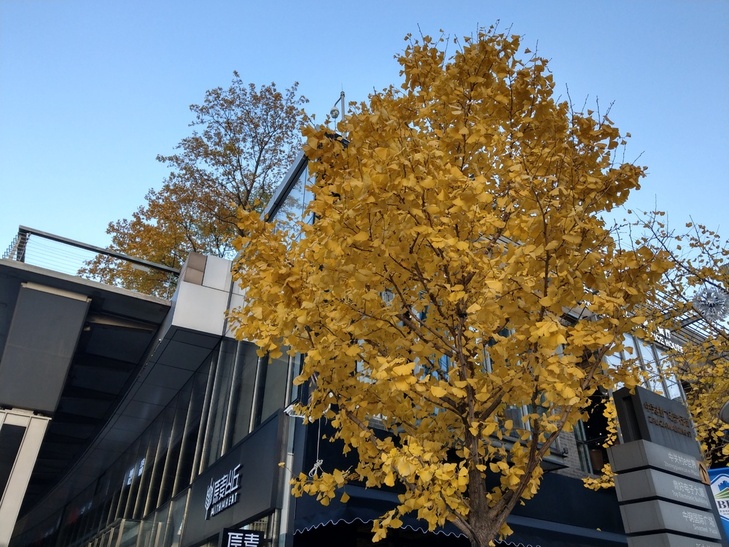 htc的作品,htc的手机质量怎么样