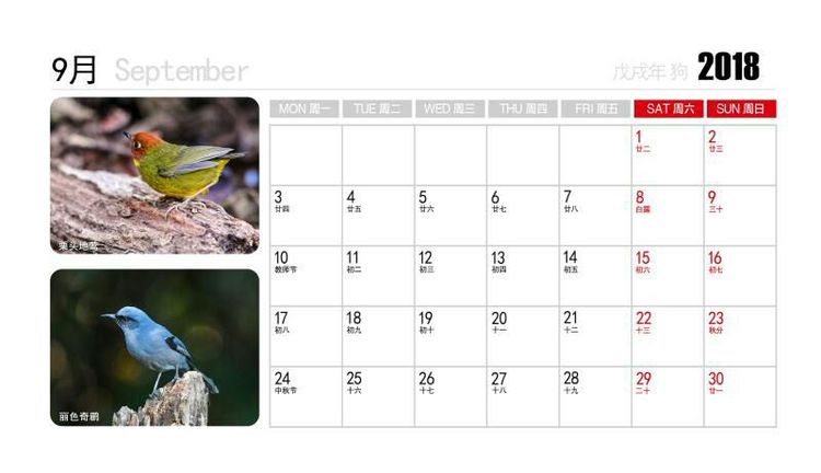 2018年鸟趣日历，太精美了，人手一份，值得收藏！