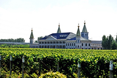 不要再纠缠法国的、意大利的、德国的……进口葡萄酒,京郊这3家葡萄酒庄值得您品尝!