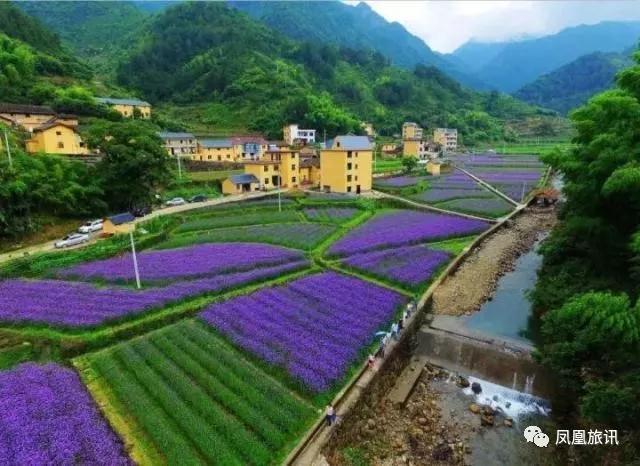 浙江省丽水市旅游推介会,丽水景宁松阳云和旅游