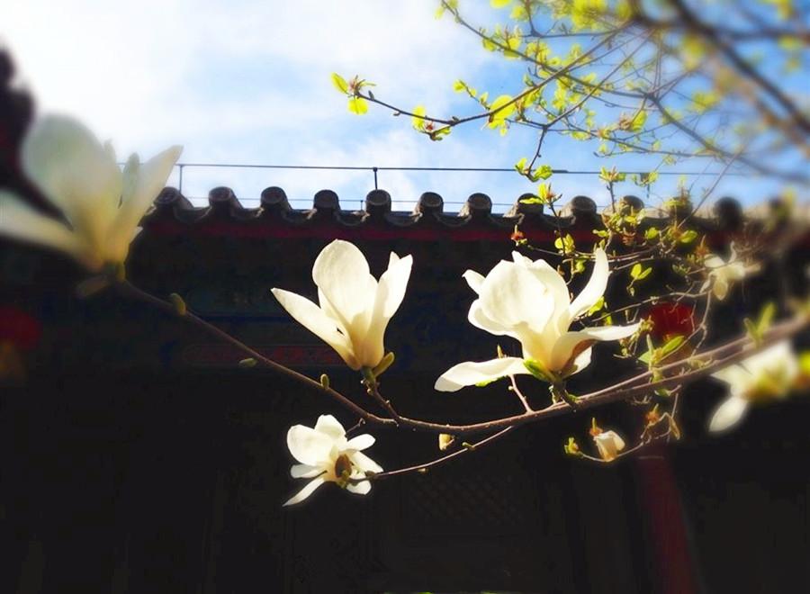 如何消免自己的罪过？