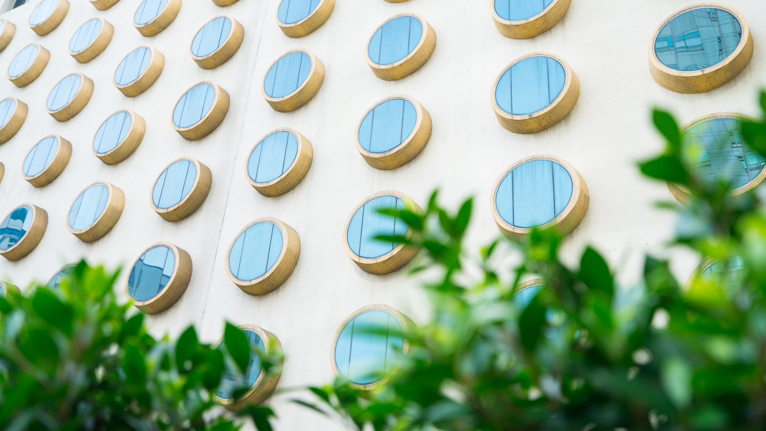 泰国芭提雅美食自由行,泰国旅游曼谷清迈芭提雅