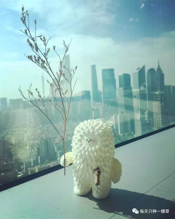 这些好物,她们来不及等到双十一就剁手了