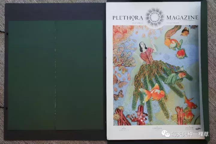 这些好物,她们来不及等到双十一就剁手了