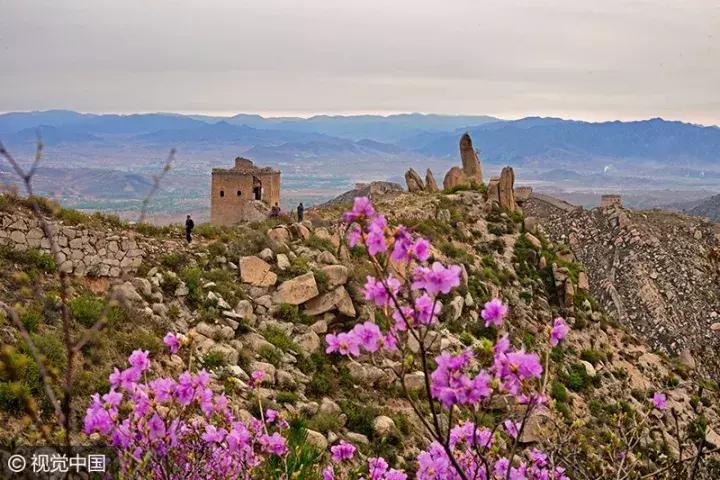 双十一景区门票优惠政策,双十一哪有免费景区