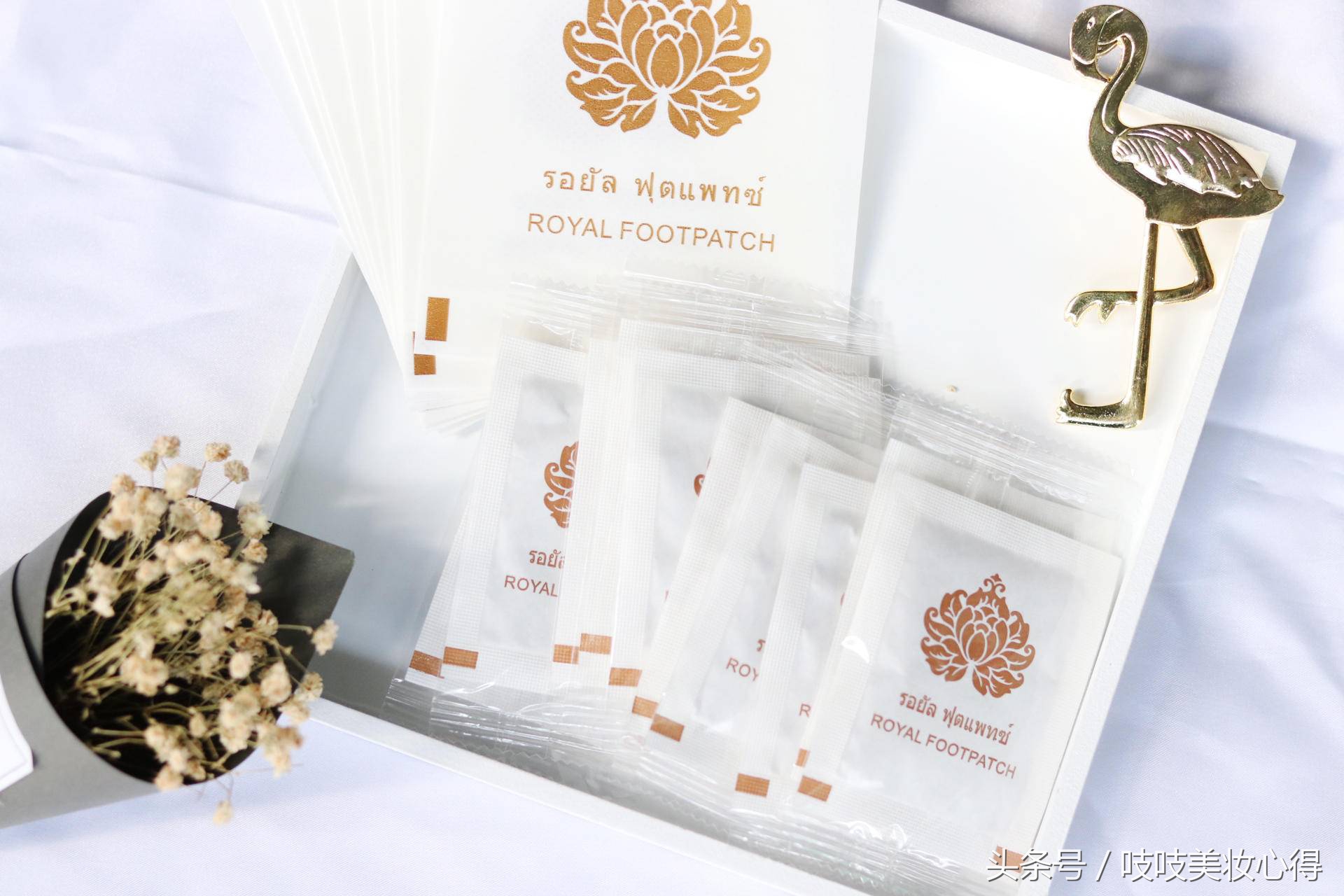 吱吱の秋季爱用物清单，每一款都好用到哭！