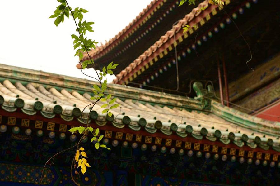 如何消免自己的罪过？