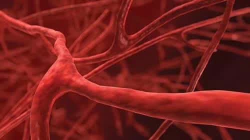 48岁钟丽缇为备孕吃药,钟丽缇回应备孕经历