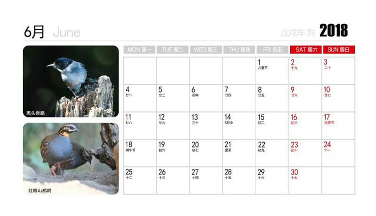 2018年鸟趣日历，太精美了，人手一份，值得收藏！