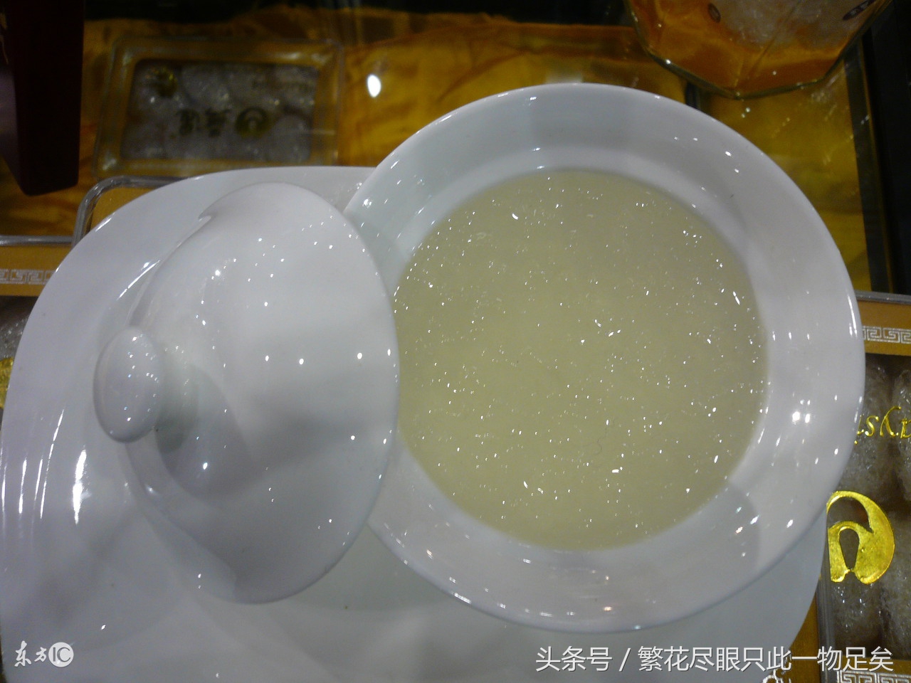 燕窝是什么鸟的唾液,燕窝是什么鱼