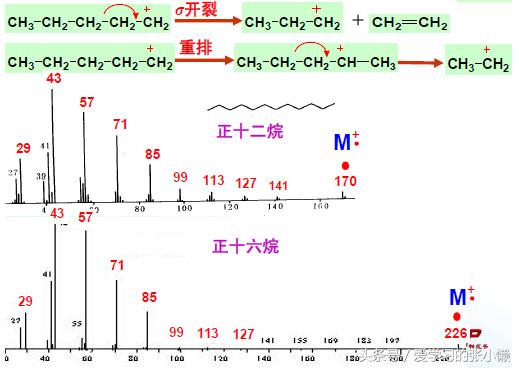 质谱能测有机物的结构吗,质谱仪测有机物结构
