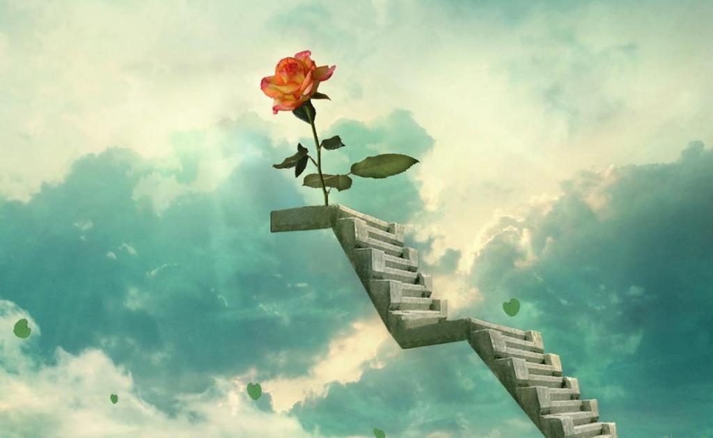 最新app引流脚本，用脚本引流真的能引上万粉？