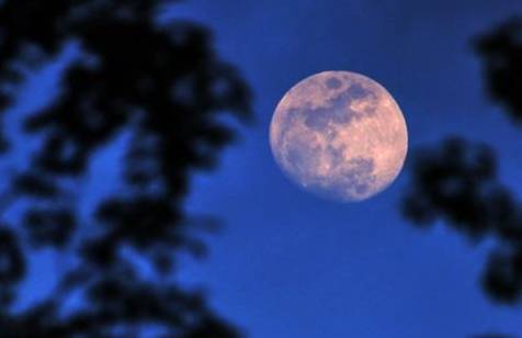 「词风雅韵」秦玉彦｜为君十赋鹧鸪天