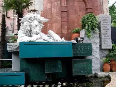 上海最有历史的马路,上海这条超网红的马路