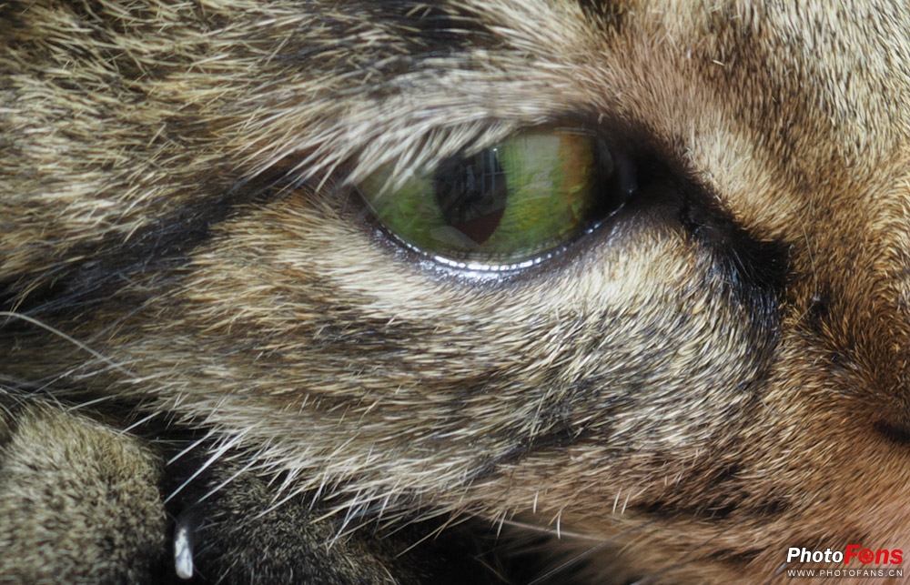 奥林巴斯e-m1ii深度评测,奥林巴斯e-m1x测评