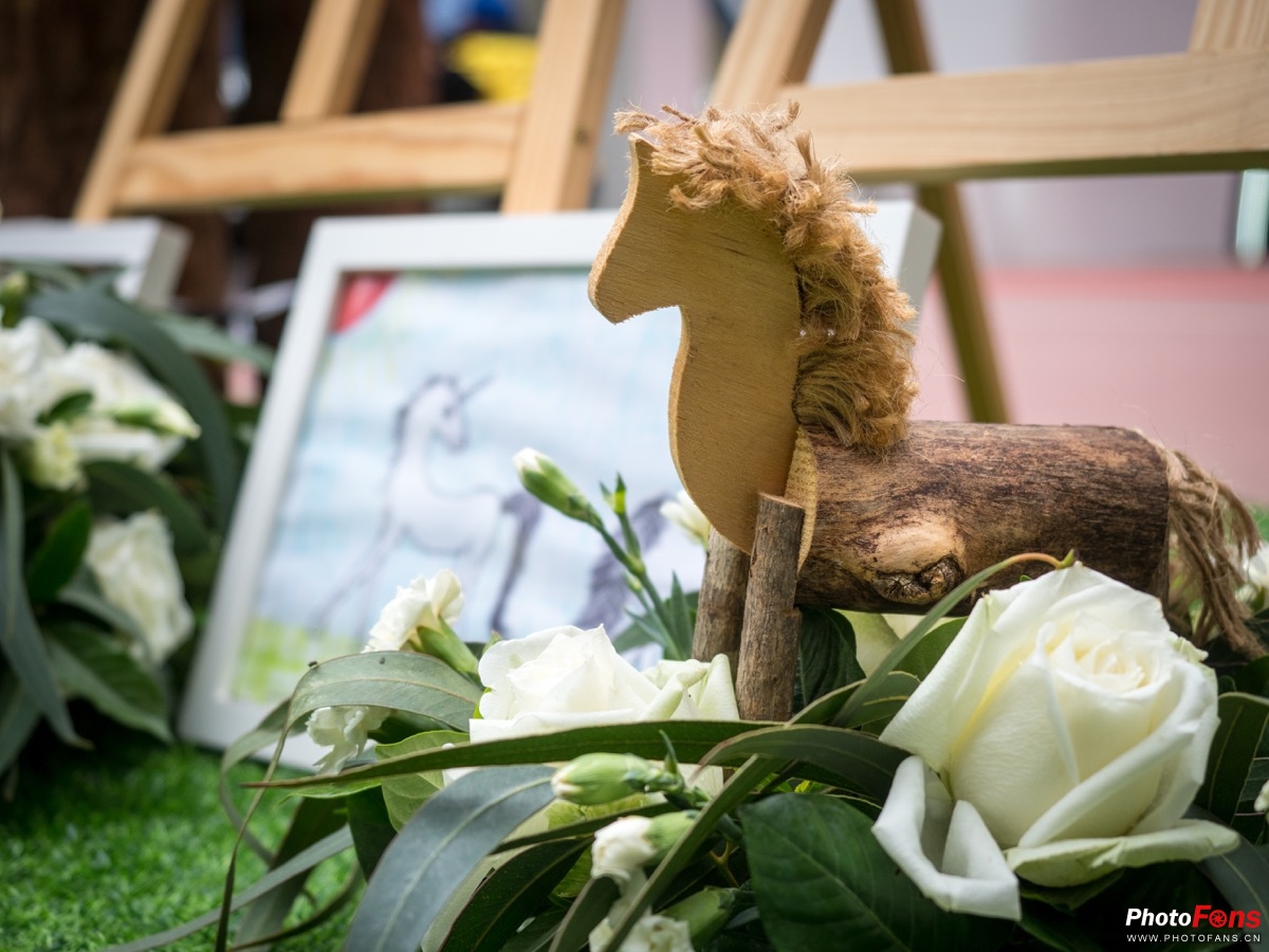 奥林巴斯e-m1ii深度评测,奥林巴斯e-m1x测评