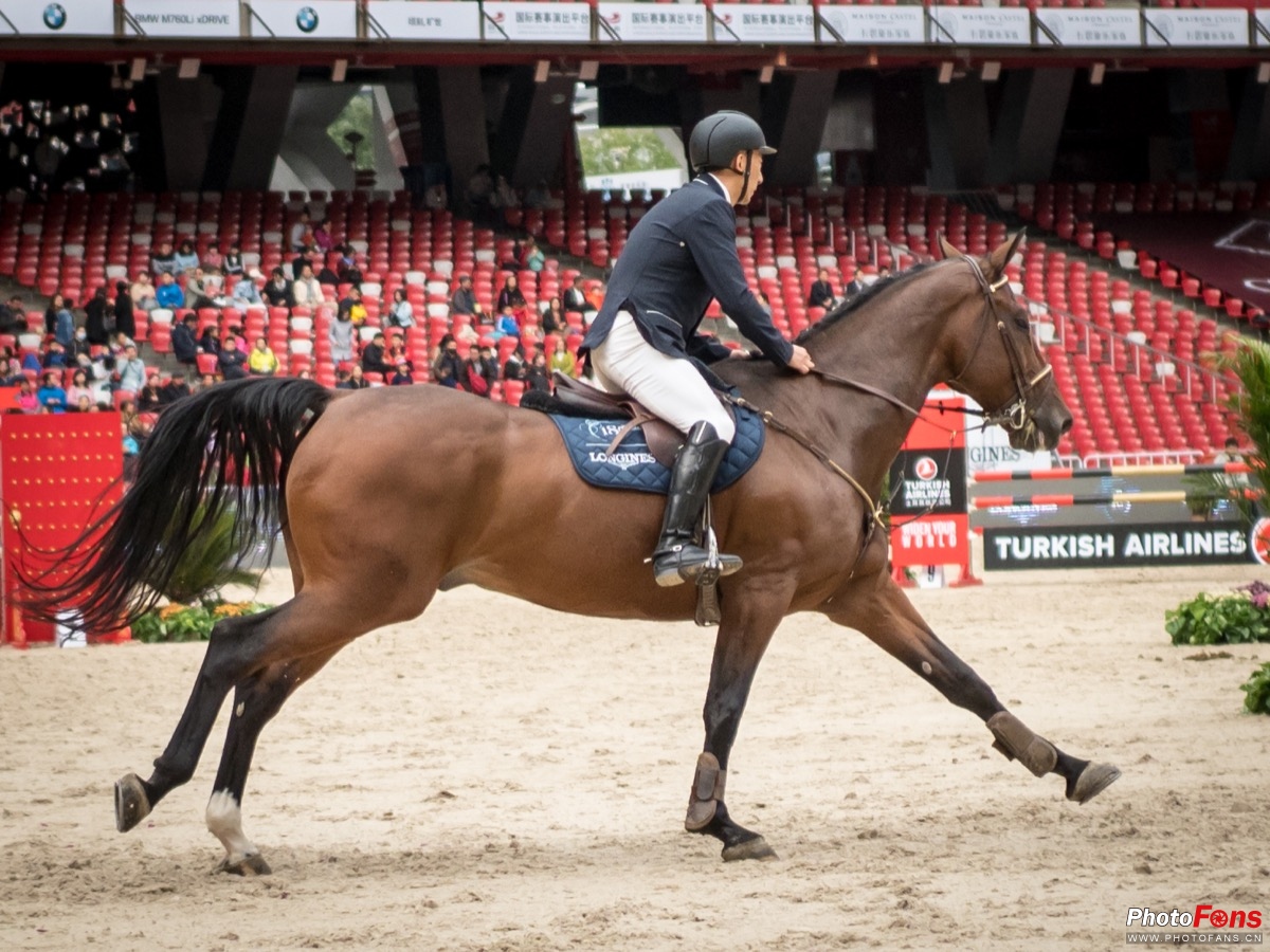 奥林巴斯e-m1ii深度评测,奥林巴斯e-m1x测评