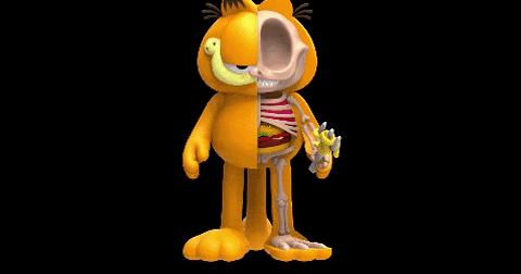 明星也爱小众品牌,明星也爱衣服