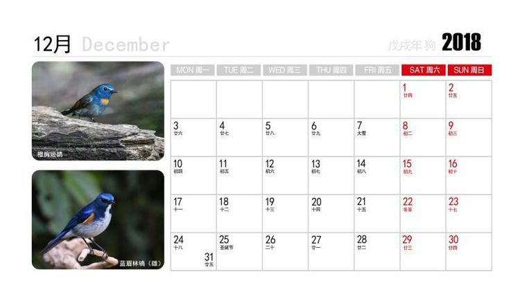 2018年鸟趣日历，太精美了，人手一份，值得收藏！
