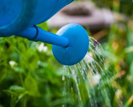 阿司匹林磨碎涂抹,阿司匹林捣碎敷脸上起到什么作用