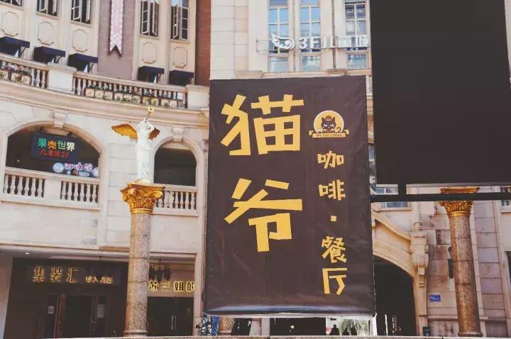 武汉汉街猫咖,武汉永旺猫咖