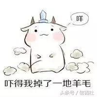 喵喵酱黑化,喵喵酱黑料实锤