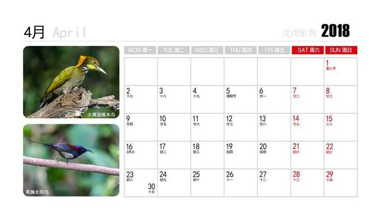 2018年鸟趣日历，太精美了，人手一份，值得收藏！