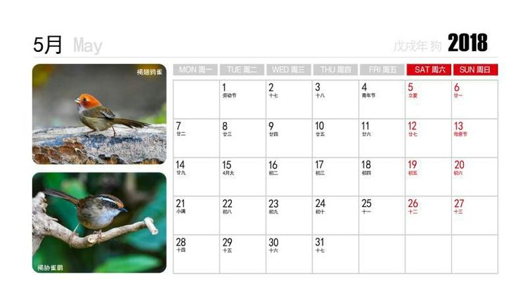 2018年鸟趣日历，太精美了，人手一份，值得收藏！