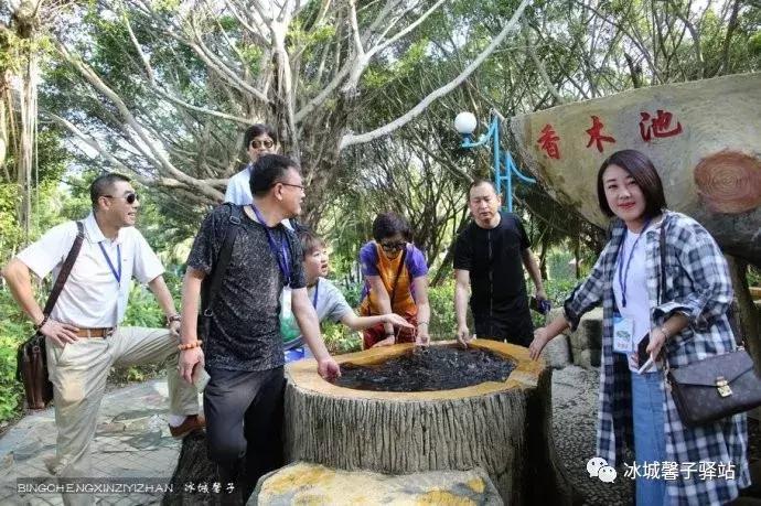 巽寮湾最美的海景,巽寮湾美丽的大海