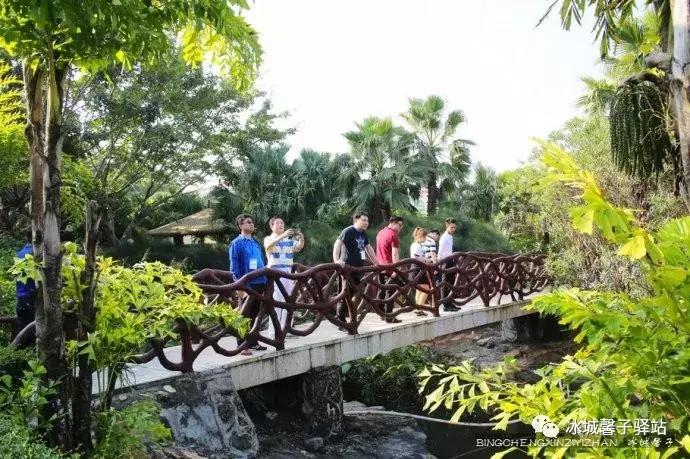 巽寮湾最美的海景,巽寮湾美丽的大海