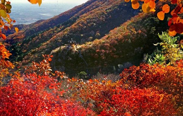 北京旅游三天详细攻略最新,北京旅游攻略探索京城的美景