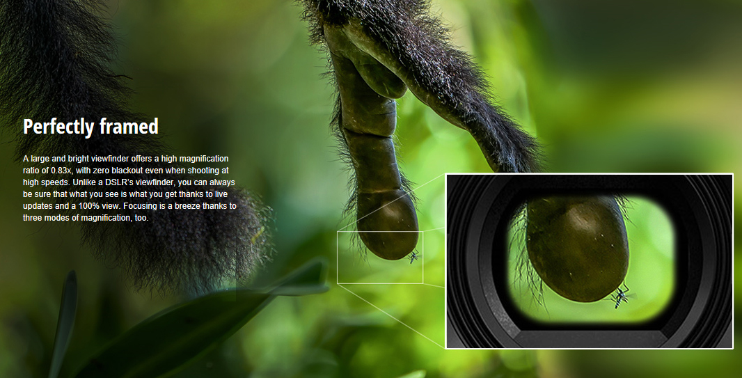 松下zs330相机什么时候发布,松下g9相当于什么相机